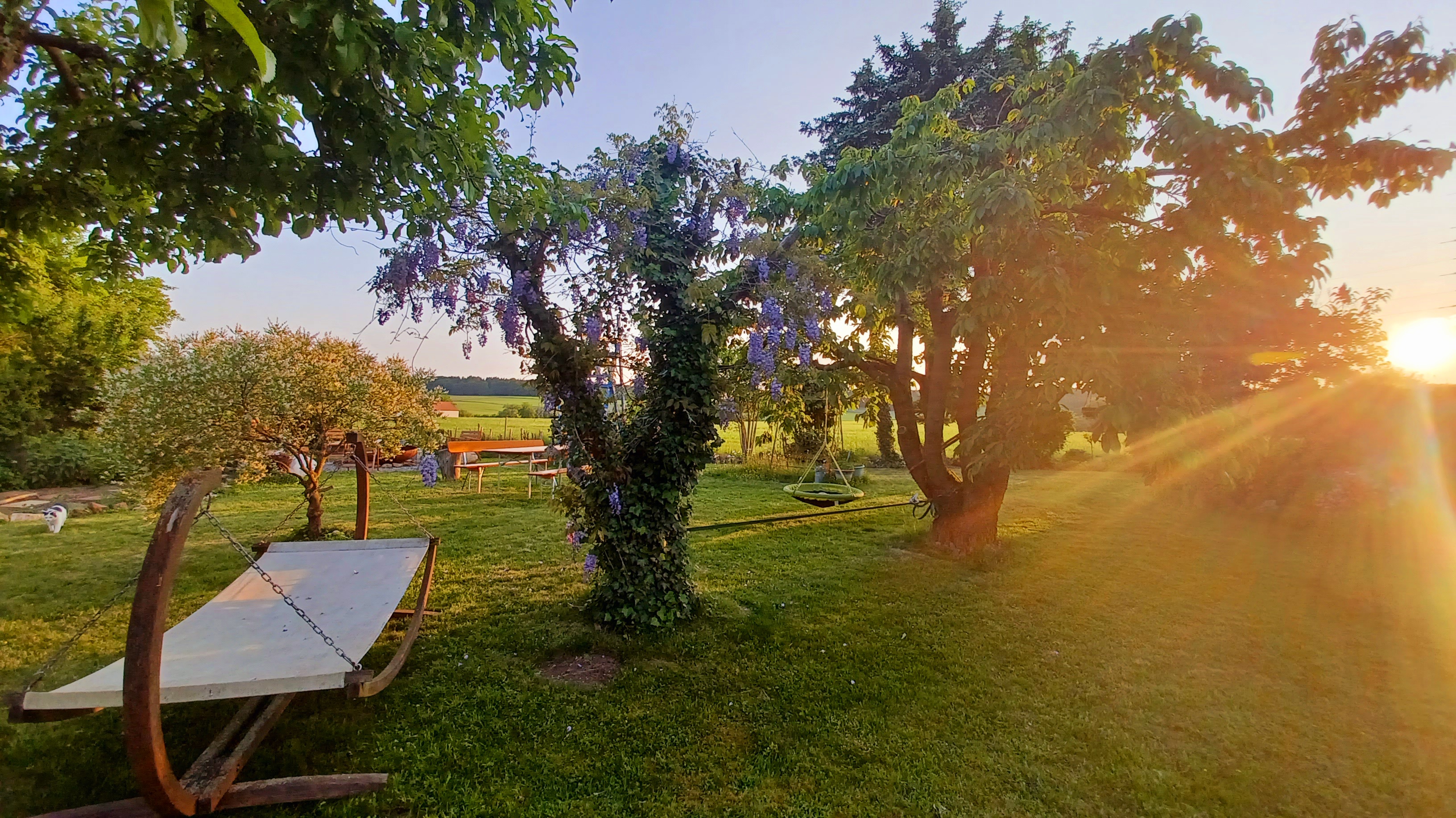 Garten im Abendlicht
