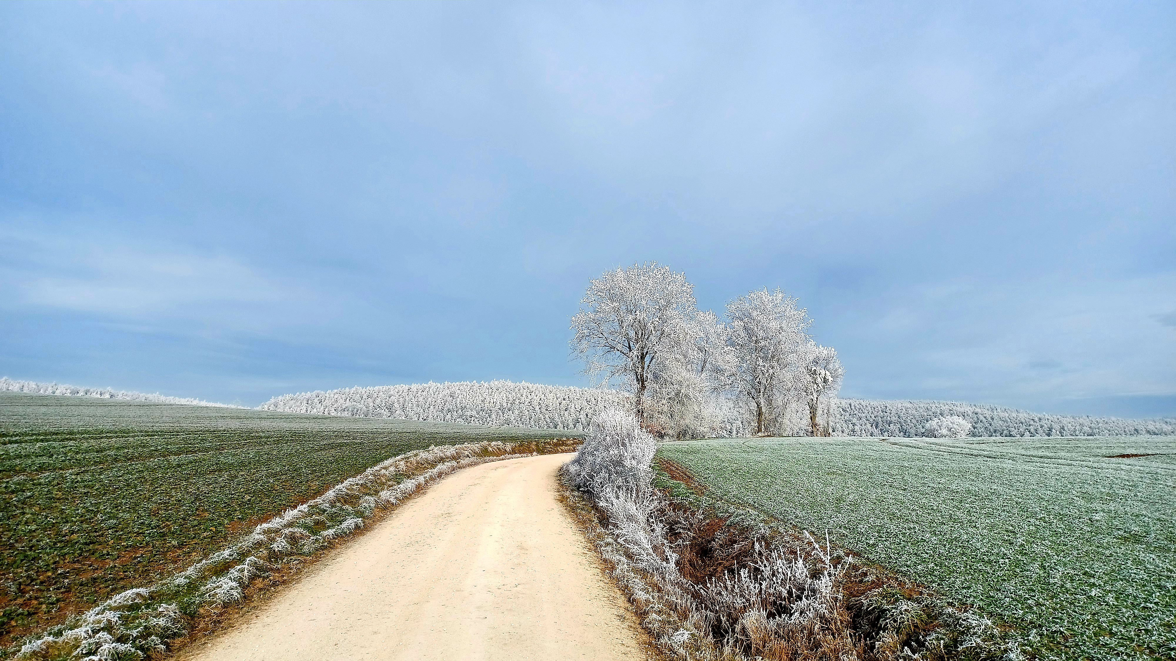Feldweg mit Raureif